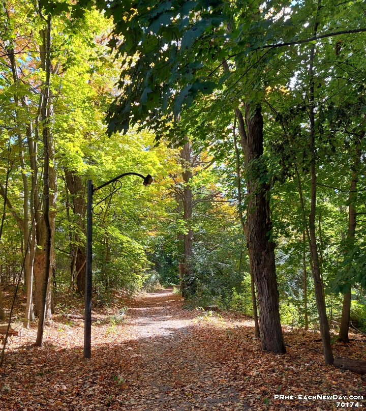 70174CrLe - A lovely afternoon walk through Hermitage Park